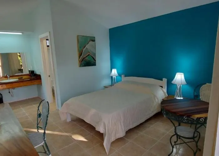 Blue Parrot Cabinas Lodge