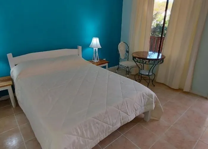 Blue Parrot Cabinas